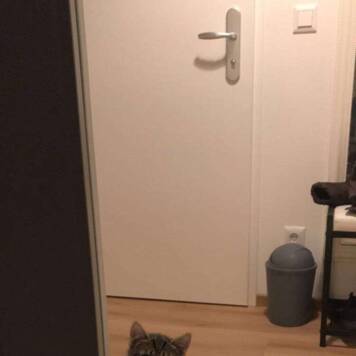 Joelina  aus Freistadt