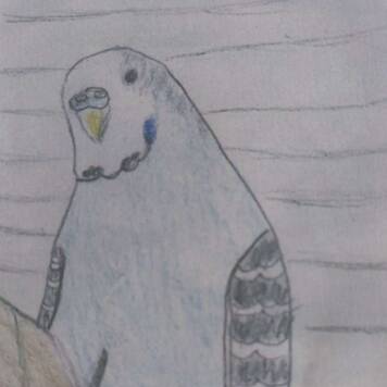 Melanie aus Kirchdorf