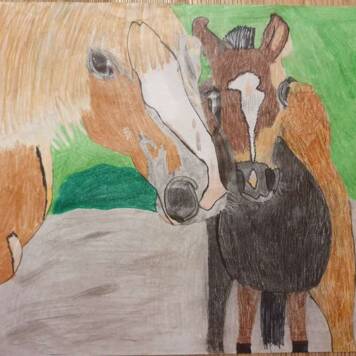 Isabella aus Freistadt