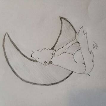 Franziska  aus Vöcklabruck