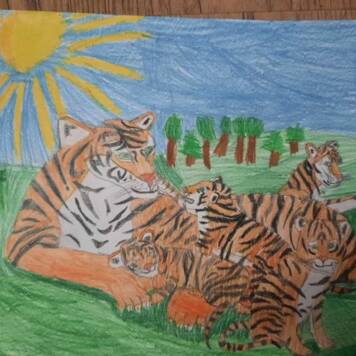 Max  aus Vöcklabruck