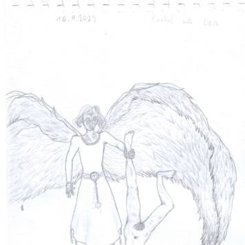 Paula  aus Linz-Land