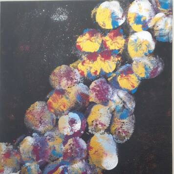 Katrin  aus Freistadt