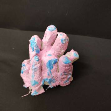 Flora Aurora aus Linz