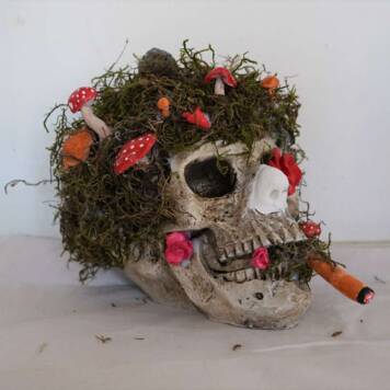 Emilia aus Grieskirchen