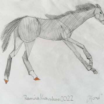 Ramira Luzia aus Kirchdorf