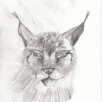 Leonie aus Schärding