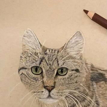 Amelie Madlene aus Urfahr-Umgebung