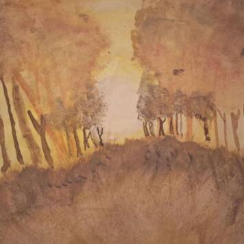 Alina aus Grieskirchen