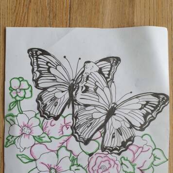 Isabella aus Freistadt