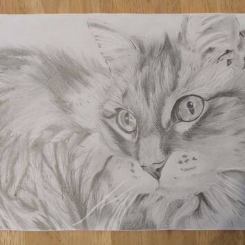 Leonie aus Kirchdorf