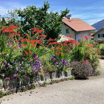 Katharina aus Gmunden