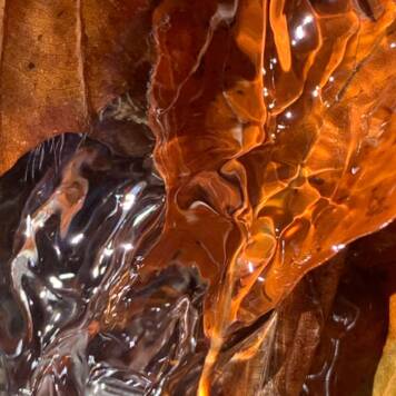 Isabella aus Gmunden