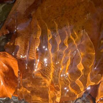 Isabella aus Gmunden