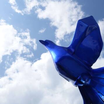 Sarah aus Schärding