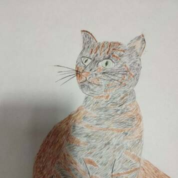 Angelina aus Braunau