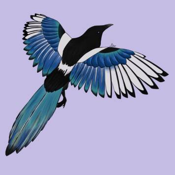  Leonie aus Linz-Land