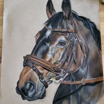  Nora aus Urfahr-Umgebung