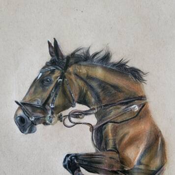  Nora aus Urfahr-Umgebung