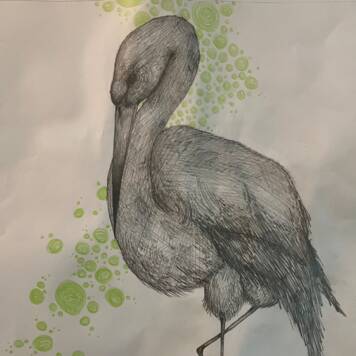  Jasmin aus Grieskirchen