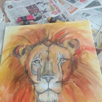  Colien aus Urfahr-Umgebung