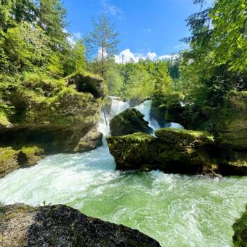  Leni-Flora aus Vöcklabruck