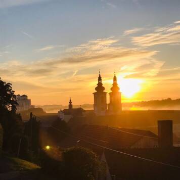  Matteo aus Kirchdorf