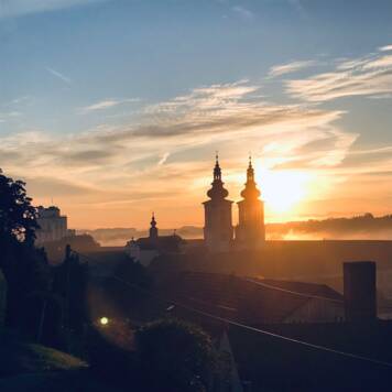  Matteo aus Kirchdorf