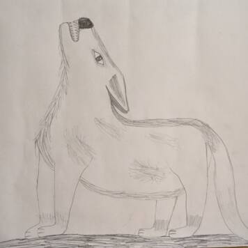  Marie aus Urfahr-Umgebung