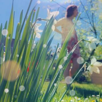  Sebastian aus Vöcklabruck