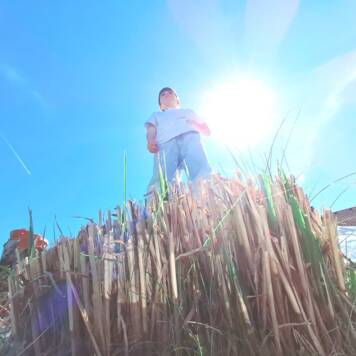  Sebastian aus Vöcklabruck