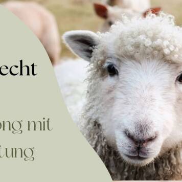  Nicolas aus Vöcklabruck