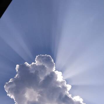  Nicolas aus Vöcklabruck