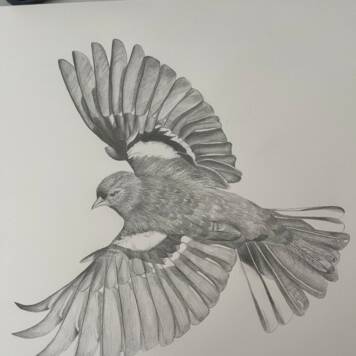  Theresa aus Grieskirchen