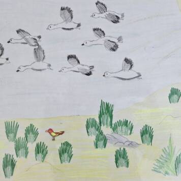  Alexej aus Linz-Land