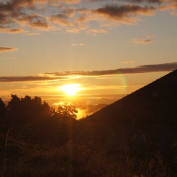  Laurin aus Freistadt