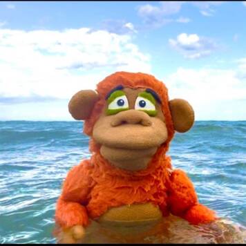  Sebastian David aus Linz