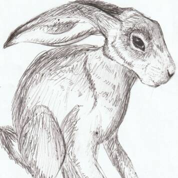  Leonie aus Schärding