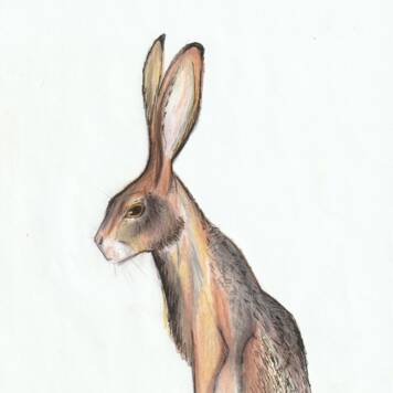  Leonie aus Schärding