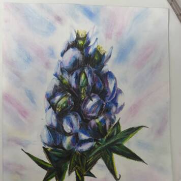  Naomi aus Schärding