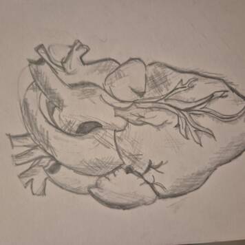  Laura Fabienne aus Perg