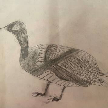  Matthias aus Urfahr-Umgebung