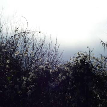 Michaela aus Gmunden