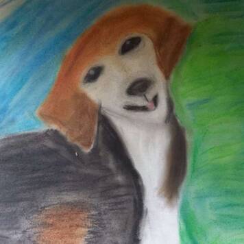 Tomandl  aus Schärding