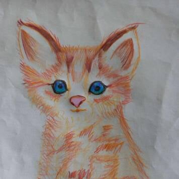 Tomandl  aus Schärding