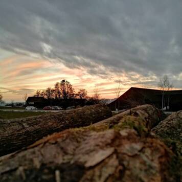 Nicole  aus Rohrbach