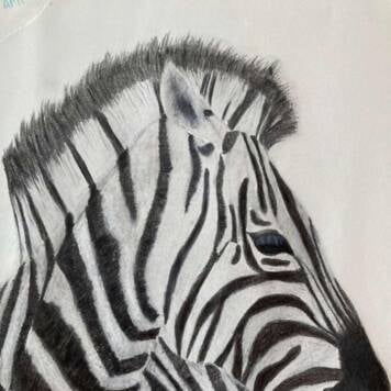 Marlene aus Vöcklabruck