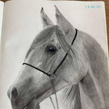 Marlene aus Vöcklabruck