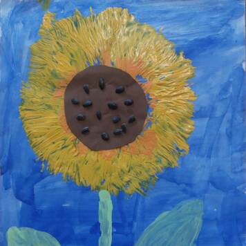 Selina aus Linz-Land