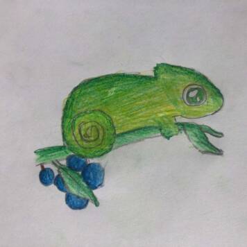 Lennard aus Grieskirchen